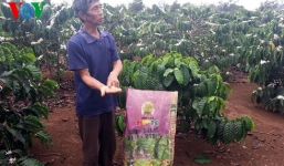 Phân bón giả tái xuất: Cách phân biệt phân bón thật - giả